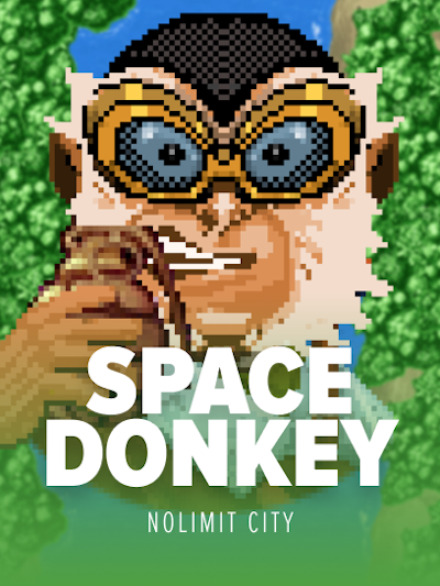 Space Donkey slot game logo